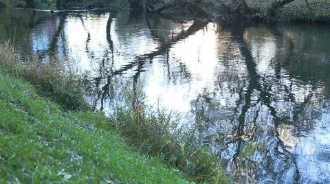 Small river. Camera movement Stock Footage 62553458