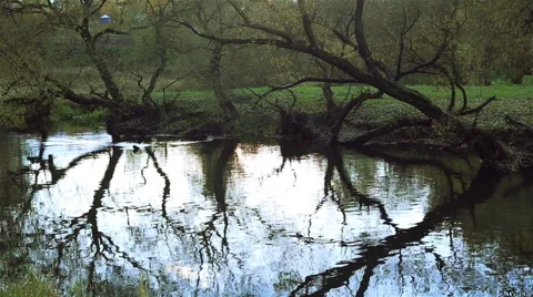 Small river. Camera movement Stock Footage 65511720