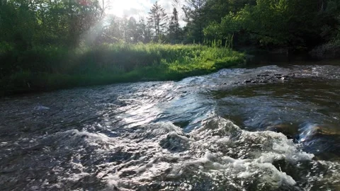 Small river in the canadian forest Stock Footage 310526613