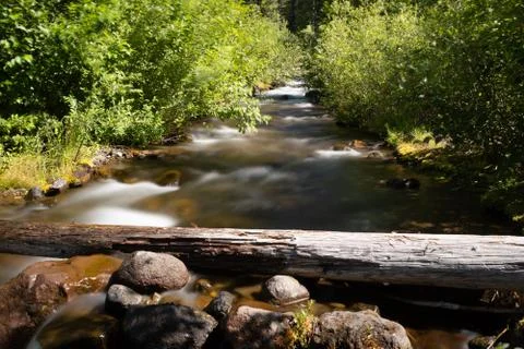 A small river cascades through the forest in Mt St Helens National Monument near Stock Photos