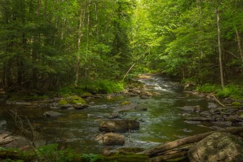 Small river cascading in the forest Stock Photos