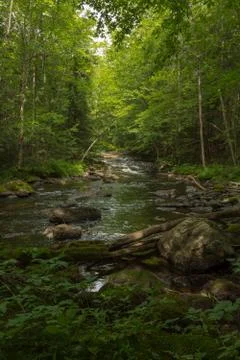 Small river cascading in the forest Stock Photos