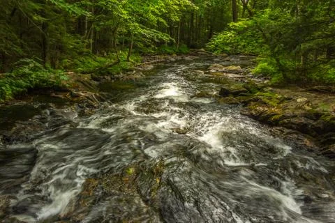 Small river cascading in the forest Stock Photos