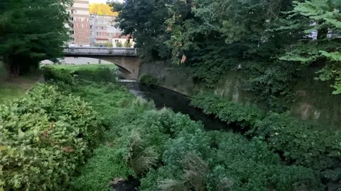 A Small River In The City Center. Forest And River In The City. A Small Bridge. Stock Footage 149652271