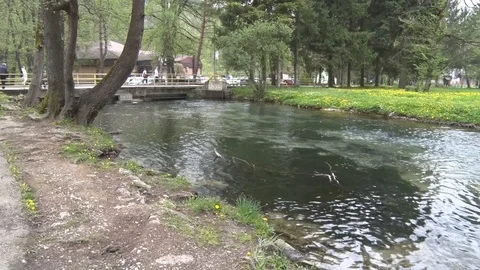 Small River in the city park 스톡 동영상 91244922