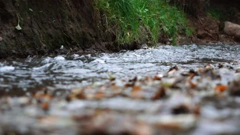 Small river in the city park Stock-Footage 96261807