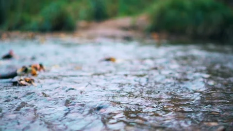 Small river in the city park Stock Footage 96261827