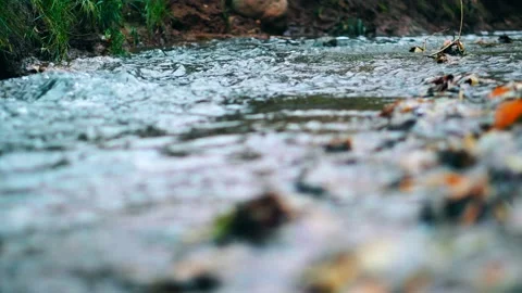 Small river in the city park Stock Footage 96266982