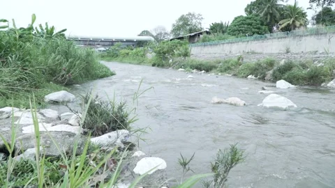 Small River in city side Video stock 152243413