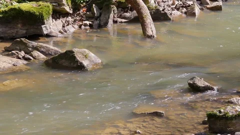Small river closeup Stock Footage 89038445