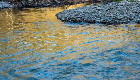 Small river closeup Stock Photos