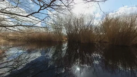 Small river in the countryside Stock-Footage 236929263
