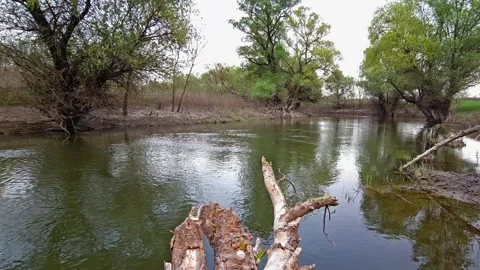 Small river with crystal clear water flowing through the meadow Video stock 272464761
