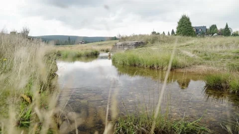 Small river in czech mountains Stock Footage 207817468