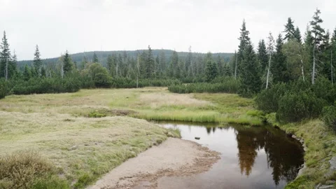 Small river in czech mountains surrounded by a forest Stock Footage 207818210