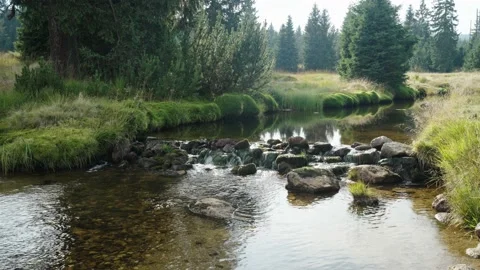 Small river in czech mountains surrounded by a forest Stock Footage 207821317