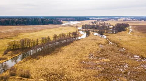 Small river with dry trees without leaves in winter / early spring aerial vie Stock Photos