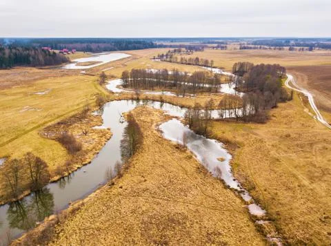 Small river with dry trees without leaves in winter / early spring aerial vie Stock Photos