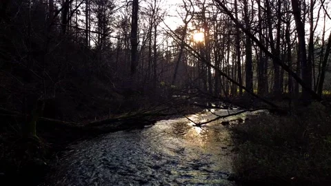 Small river enclosed by forest in th last sun Stock Footage 143929340