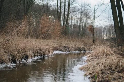 Small river at the end of winter Foto stock
