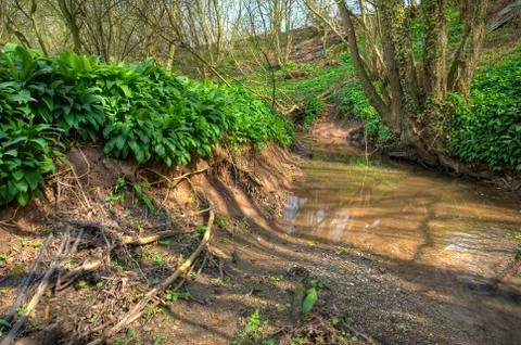 Small river, england Stock Photos