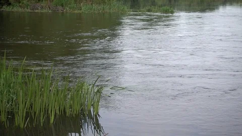 Small river with fast turbulent stream. Two riversides with grass. 4K Stock Footage 124741939