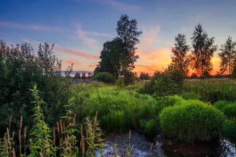 Small river in field Stock Photos