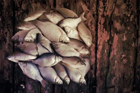 A small river fish to the surface of the table. Stock Photos