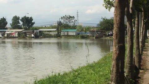 Small river for fishing Stock Footage 244284701