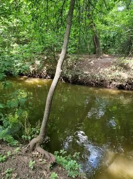 A small river floats between trees in a recreation park in Ukraine Stock Photos