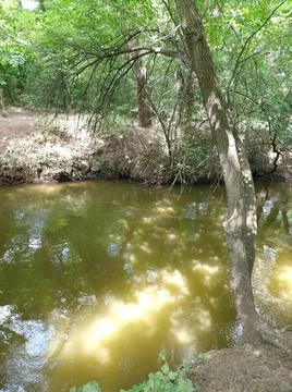A small river floats between trees in a recreation park in Ukraine Stock Photos