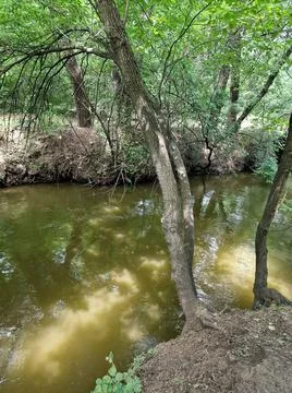 A small river floats between trees in a recreation park in Ukraine Stock Photos