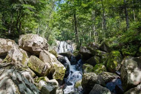 Small river flow among big boulders. Foto stock