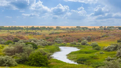 Small river flow among a prairie under blue cloudy sky time lapse scene Vídeos de archivo 238028433
