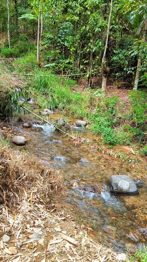 Small river flow that is clean and clear 스톡 동영상 290989017