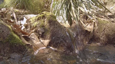 Small river flow Stock Footage 105129321