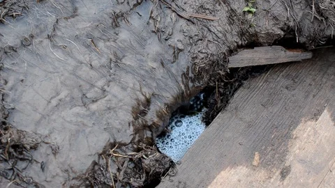 Small river flow Stock Footage 116906446