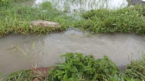 Small river flow Stock Footage 238417596