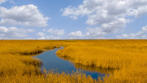Small river  flow in prairie under cloudy sky time lapse scene Stock Footage 253431033