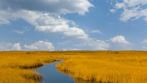 Small river  flow in prairie under cloudy sky Stock Footage 322692036