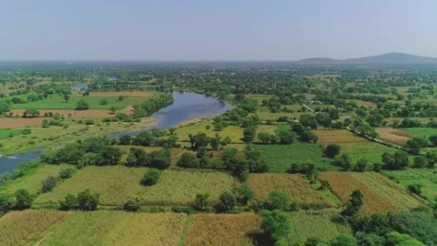 Small river flowing between the fields Stock Footage 218290362