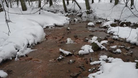 A small river flowing between pines and snowbanks. A forest river under a pale Stockbeeldmateriaal 329552963