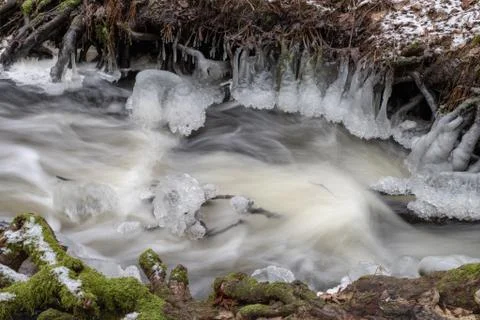 A small river flowing between trees with a small water degree. The riverbed l Stock Photos