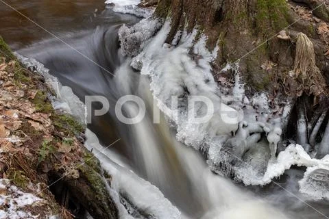 A small river flowing between trees with a small water degree. The riverbed l Stock Photos