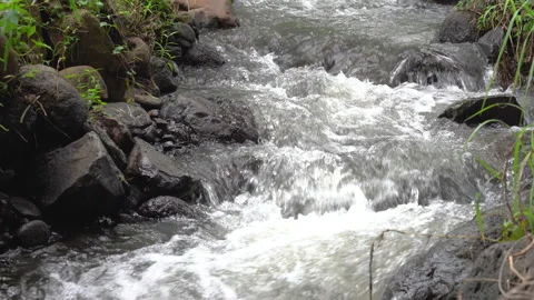Small river flowing clean water from the hill nearby Stock Footage 148456504
