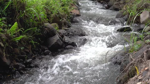 Small river flowing clean water from the hill nearby Stock Footage 148456528
