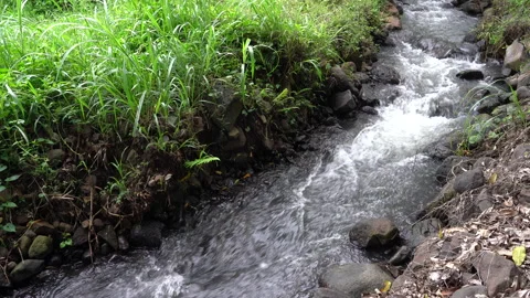 Small river flowing clean water from the hill nearby Stock Footage 148456802