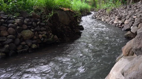 Small river flowing clean water from the hill nearby Stock Footage 148456805