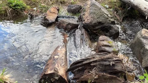 Small river flowing over rocks in the mountain Stock Footage 308445706