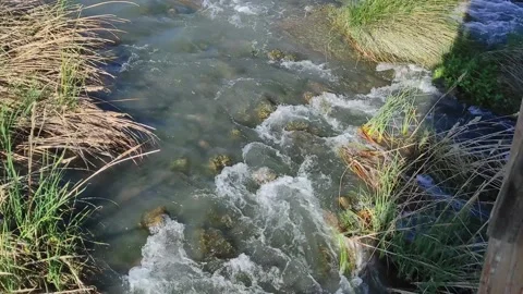 Small river flowing over stones on sunny day Stock Footage 164651903